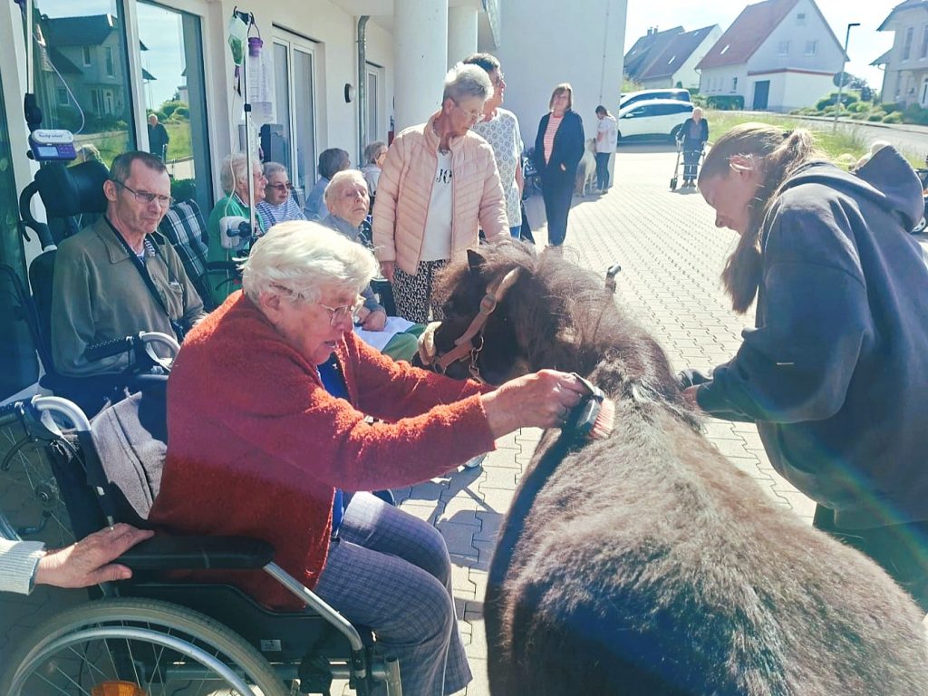 Ältere Frau im Rollstuhl striegelt Pony, dass von jüngerer Frau sanft festgehalten wird. Im Hintergrund sind weitere Menschen zu sehen und der Hof von Haus Phöbe.