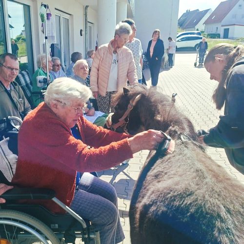 &Auml;ltere Frau im Rollstuhl striegelt Pony, dass von j&uuml;ngerer Frau sanft festgehalten wird. Im Hintergrund sind weitere Menschen zu sehen und der Hof von Haus Ph&ouml;be.